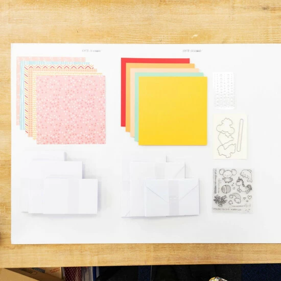 Crafter's Companion Subscription Box #35 Penny Sliders Craft Kit 1 Crafter's Companion Subscription Box #35 Penny Sliders Craft Kit