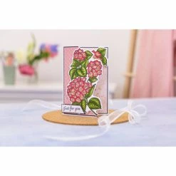 Crafter's Companion Bloom & Grow Floral Statement Stamp And Die Set -Crafter's Companion Sales unnamed file 1224