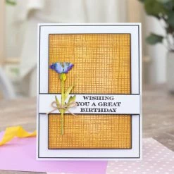 Crafter's Companion Hint Of Texture Materials Embossing Folder Bundle -Crafter's Companion Sales unnamed file 147