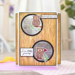 Crafter's Companion Hint Of Texture Nature Embossing Folder Bundle 13 Crafter's Companion Hint Of Texture Nature Embossing Folder Bundle -Crafter's Companion Sales unnamed file 158