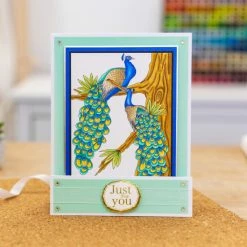 Crafter's Companion Card Front Color Pads -Crafter's Companion Sales unnamed file 299