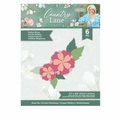 Crafter's Companion Sara Signature Country Lane Foam Flower Set -Crafter's Companion Sales unnamed file 504